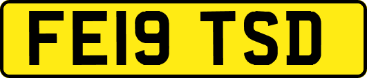 FE19TSD