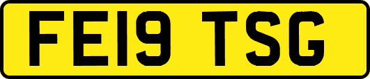 FE19TSG