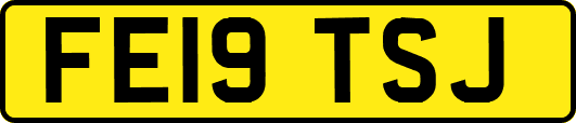 FE19TSJ