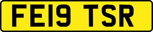 FE19TSR