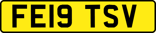 FE19TSV