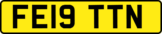 FE19TTN