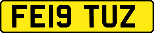 FE19TUZ