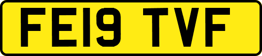 FE19TVF