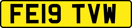 FE19TVW
