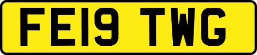 FE19TWG