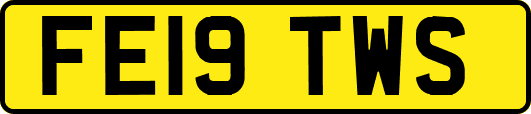FE19TWS