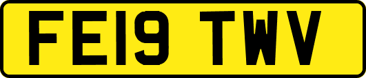 FE19TWV
