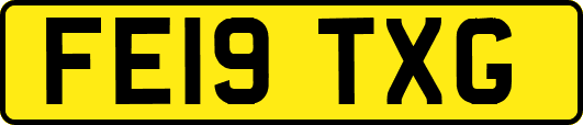 FE19TXG