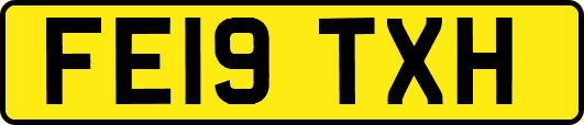 FE19TXH