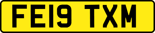 FE19TXM