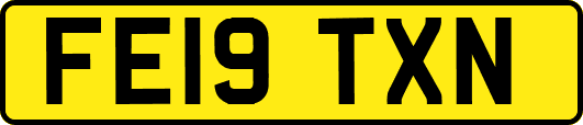 FE19TXN