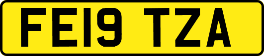 FE19TZA