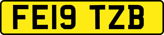 FE19TZB