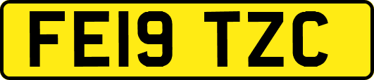 FE19TZC