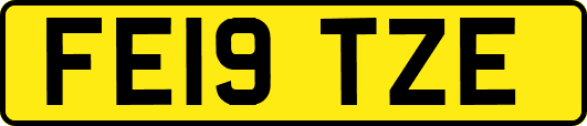 FE19TZE