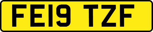 FE19TZF