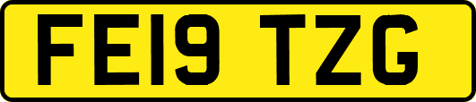 FE19TZG