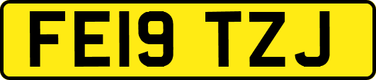 FE19TZJ
