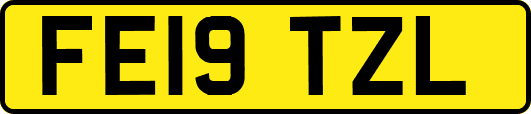 FE19TZL