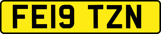 FE19TZN