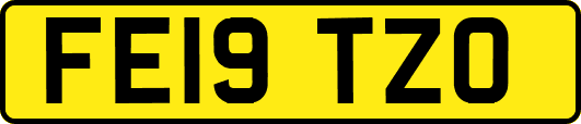 FE19TZO