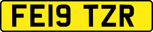 FE19TZR