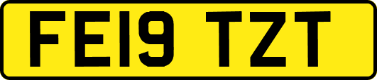 FE19TZT