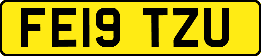 FE19TZU