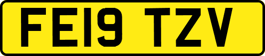FE19TZV