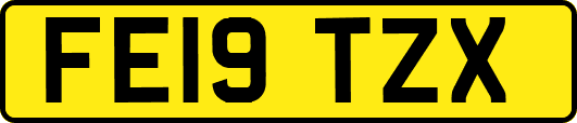 FE19TZX