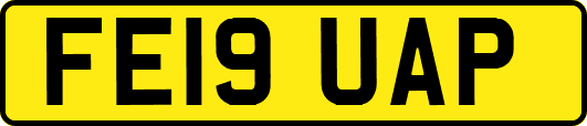 FE19UAP