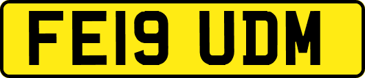 FE19UDM