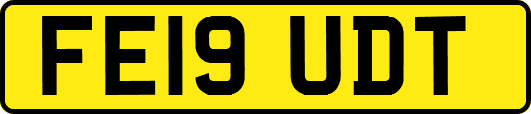 FE19UDT