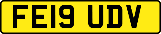 FE19UDV