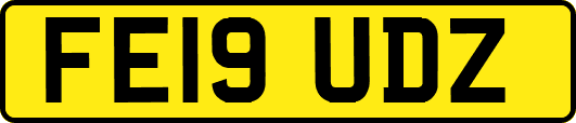 FE19UDZ