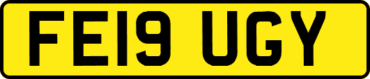 FE19UGY