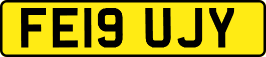 FE19UJY