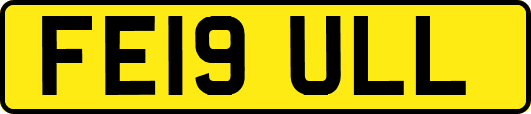 FE19ULL