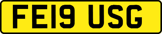 FE19USG