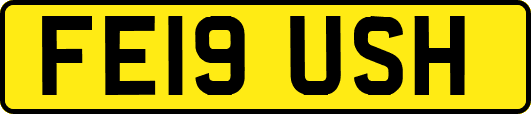 FE19USH