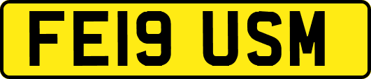 FE19USM