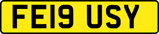 FE19USY