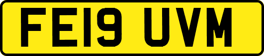 FE19UVM