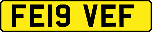 FE19VEF
