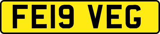 FE19VEG