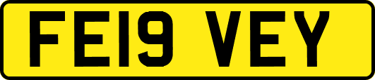 FE19VEY