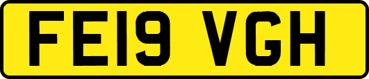 FE19VGH