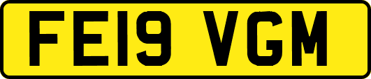 FE19VGM