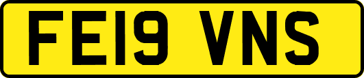 FE19VNS
